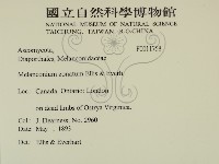 登錄號:F0011758藏品圖，第2張