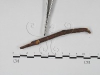 登錄號:F0011758藏品圖，第3張