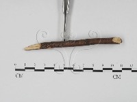 登錄號:F0011758藏品圖，第4張