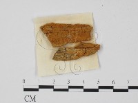 登錄號:F0011759藏品圖，第1張