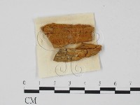 登錄號:F0011759藏品圖，第3張