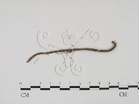 登錄號:F0011760藏品圖，第3張