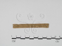 登錄號:F0011761藏品圖，第1張