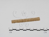 登錄號:F0011761藏品圖，第3張