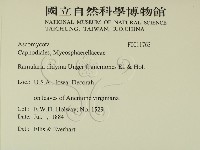 登錄號:F0011763藏品圖，第2張