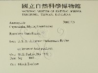 登錄號:F0011765藏品圖，第2張