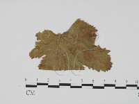 登錄號:F0011765藏品圖，第1張