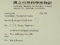 登錄號:F0011766藏品圖，第2張