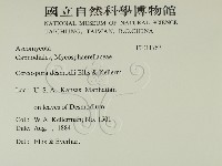 登錄號:F0011767藏品圖，第2張