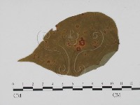 登錄號:F0011767藏品圖，第1張