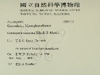 登錄號:F0011768藏品圖，第2張