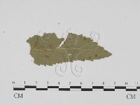 登錄號:F0011768藏品圖，第1張