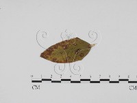 登錄號:F0011769藏品圖，第1張