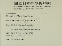 登錄號:F0011770藏品圖，第2張