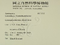 登錄號:F0011772藏品圖，第2張