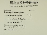 登錄號:F0011773藏品圖，第2張