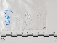 登錄號:F0011774藏品圖，第1張