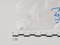 登錄號:F0011774藏品圖，第3張