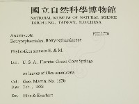 登錄號:F0011776藏品圖，第2張