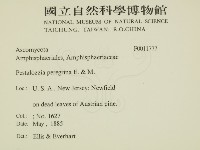 登錄號:F0011777藏品圖，第2張