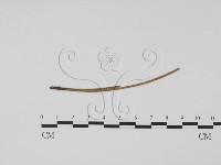 登錄號:F0011777藏品圖，第1張