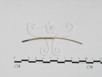 登錄號:F0011777藏品圖，第3張