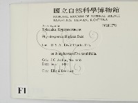 登錄號:F0011778藏品圖，第2張