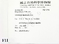 登錄號:F0011779藏品圖，第2張