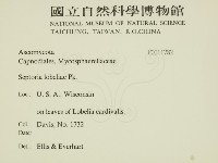 登錄號:F0011782藏品圖，第2張