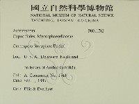 登錄號:F0011783藏品圖，第2張