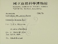 登錄號:F0011784藏品圖，第2張