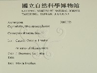 登錄號:F0011785藏品圖，第2張