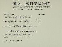 登錄號:F0011786藏品圖，第2張