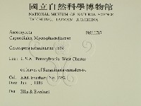 登錄號:F0011787藏品圖，第2張
