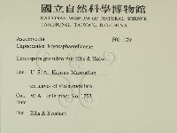 登錄號:F0011788藏品圖，第2張