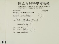 登錄號:F0011789藏品圖，第2張