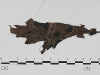 登錄號:F0011789藏品圖，第3張