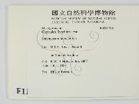 登錄號:F0011790藏品圖，第2張
