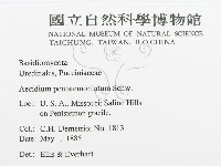 登錄號:F0011791藏品圖，第3張