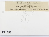 登錄號:F0011792藏品圖，第2張