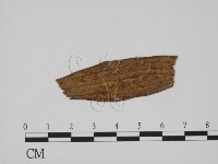 登錄號:F0011793藏品圖，第3張