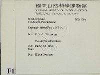 登錄號:F0011794藏品圖，第2張