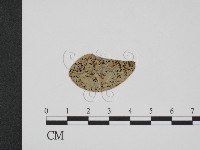 登錄號:F0011794藏品圖，第1張