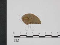 登錄號:F0011794藏品圖，第3張