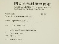 登錄號:F0011795藏品圖，第2張