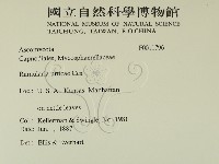 登錄號:F0011796藏品圖，第2張