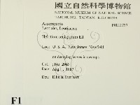 登錄號:F0011797藏品圖，第2張