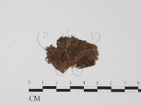 登錄號:F0011797藏品圖，第1張