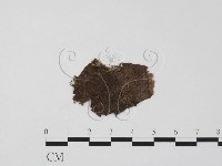 登錄號:F0011797藏品圖，第3張