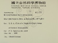 登錄號:F0011799藏品圖，第2張